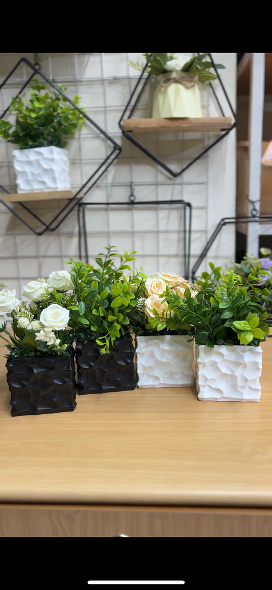 2 Flower + 2 Green Plants Combo | Lowest Price Offer – Only 950 TK