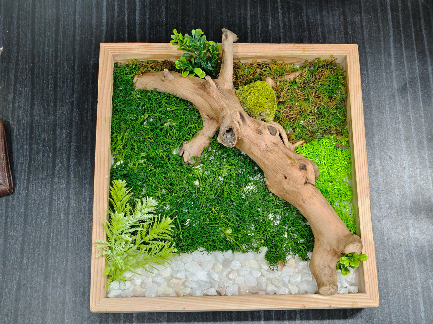 Green Mirage – 100% Artificial Moss & Driftwood Craft 12"/12"