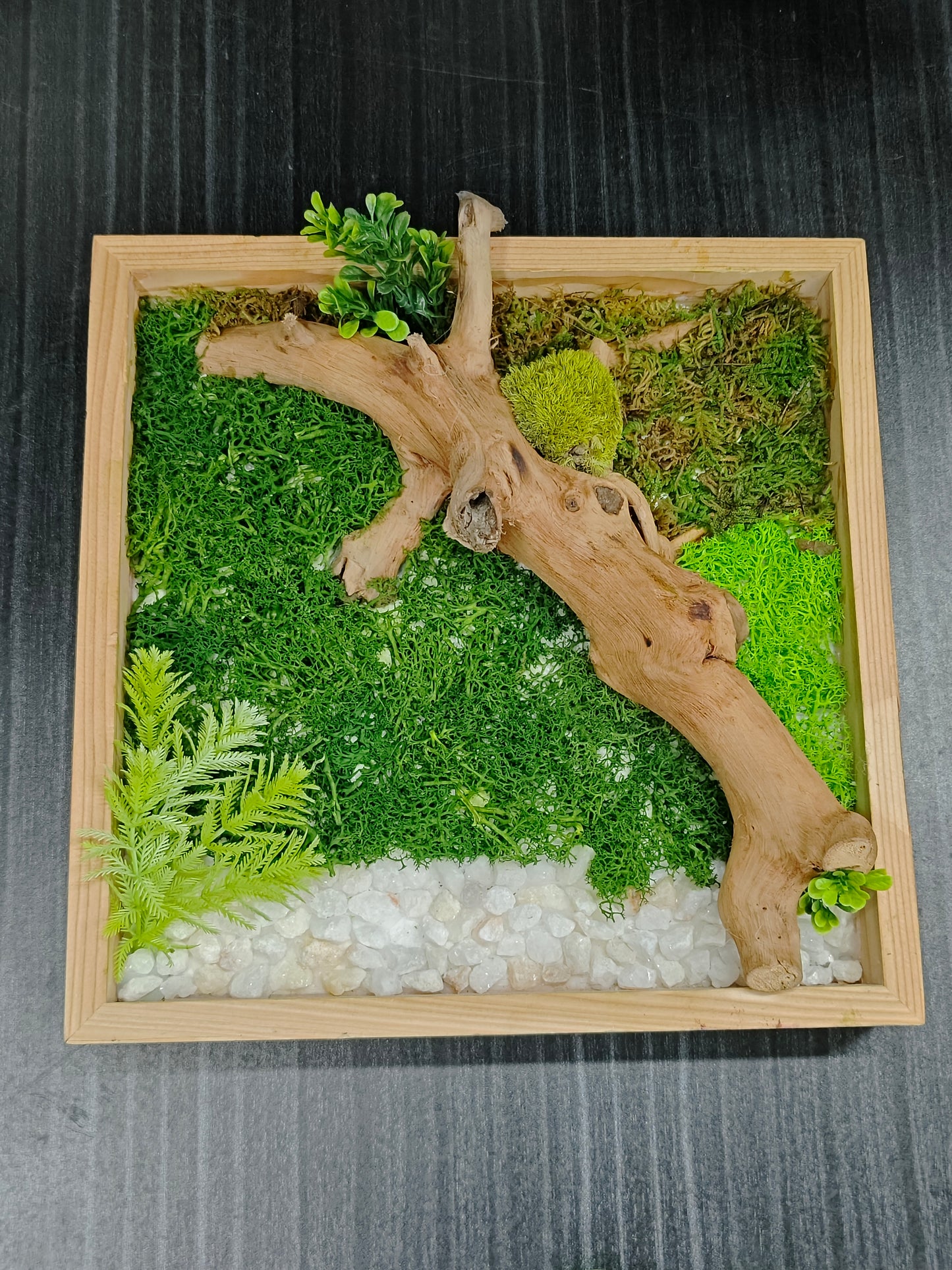 Green Mirage – 100% Artificial Moss & Driftwood Craft 12"/12"