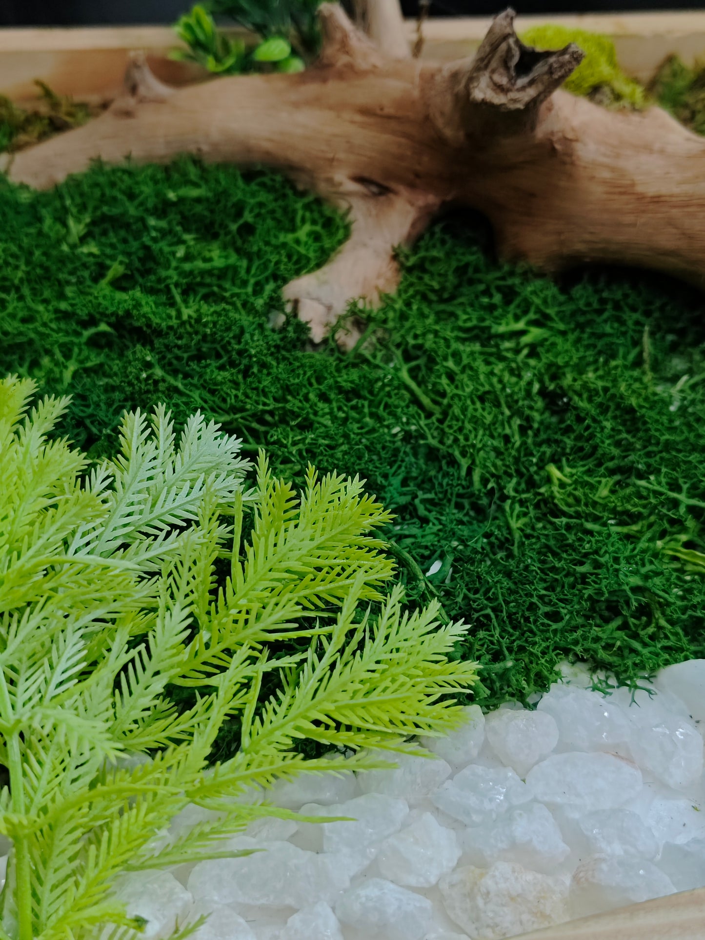 Green Mirage – 100% Artificial Moss & Driftwood Craft 12"/12"
