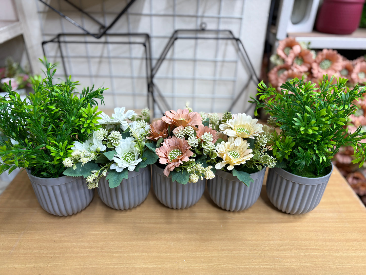 3 Flower + 2 Green Plants Combo β 1100 TK