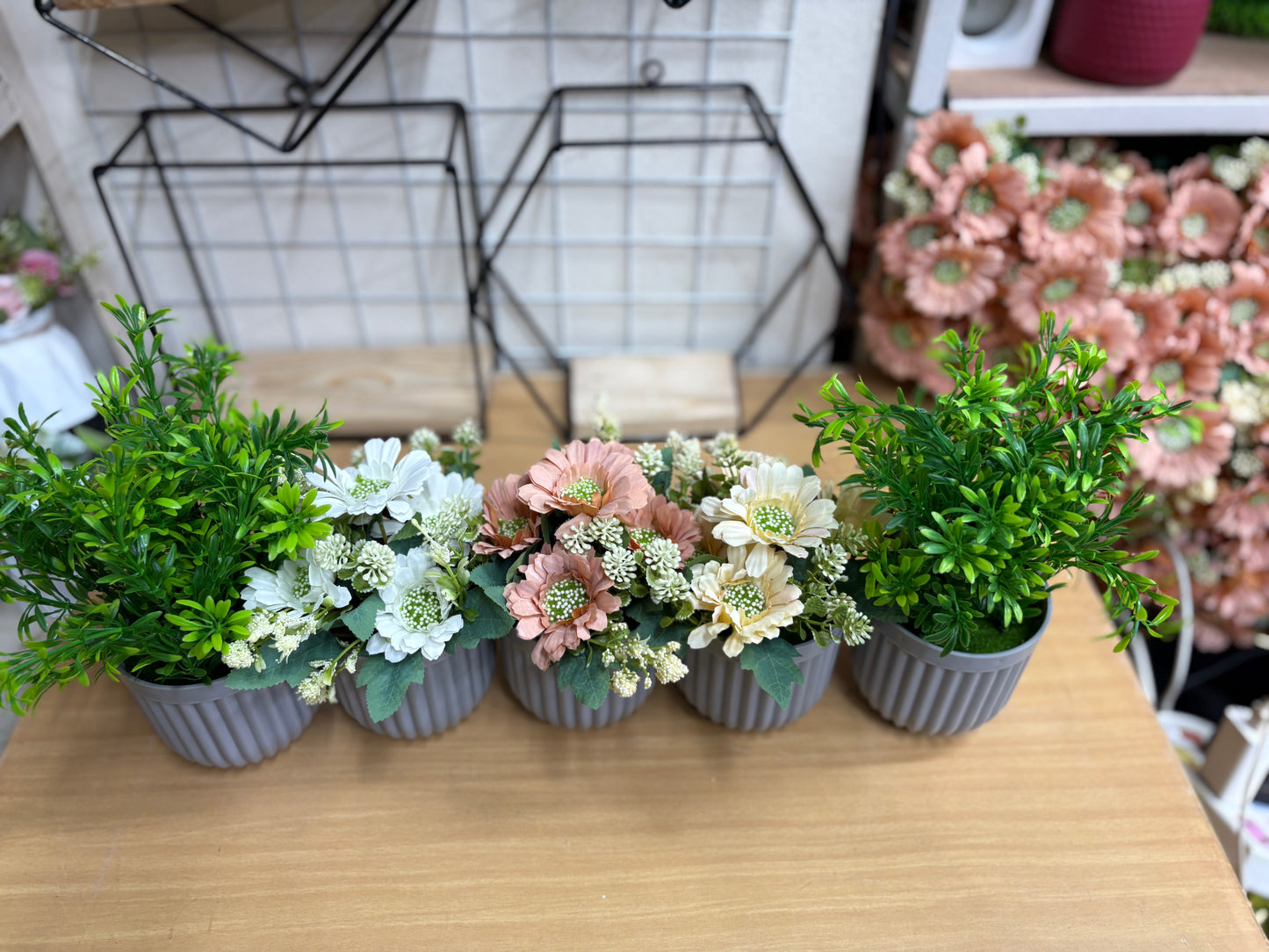 3 Flower + 2 Green Plants Combo β 1100 TK