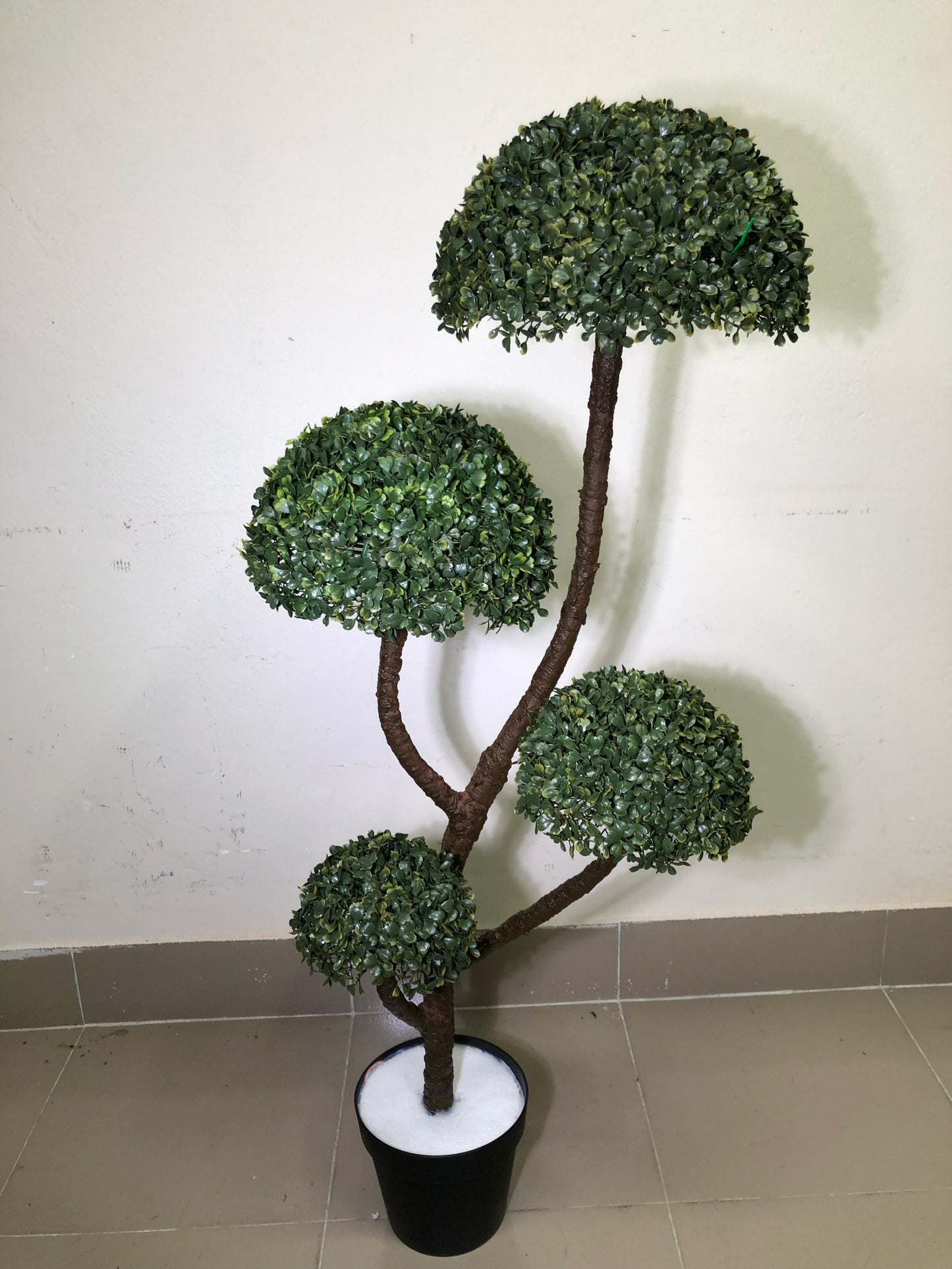 ATH-4FT-Topiary-Tree-Bonsai-001