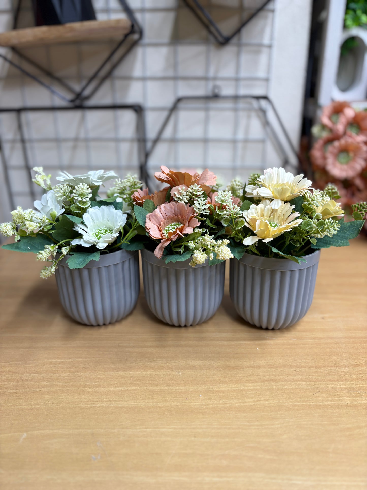 3 Flower Plants Combo β 680 TK