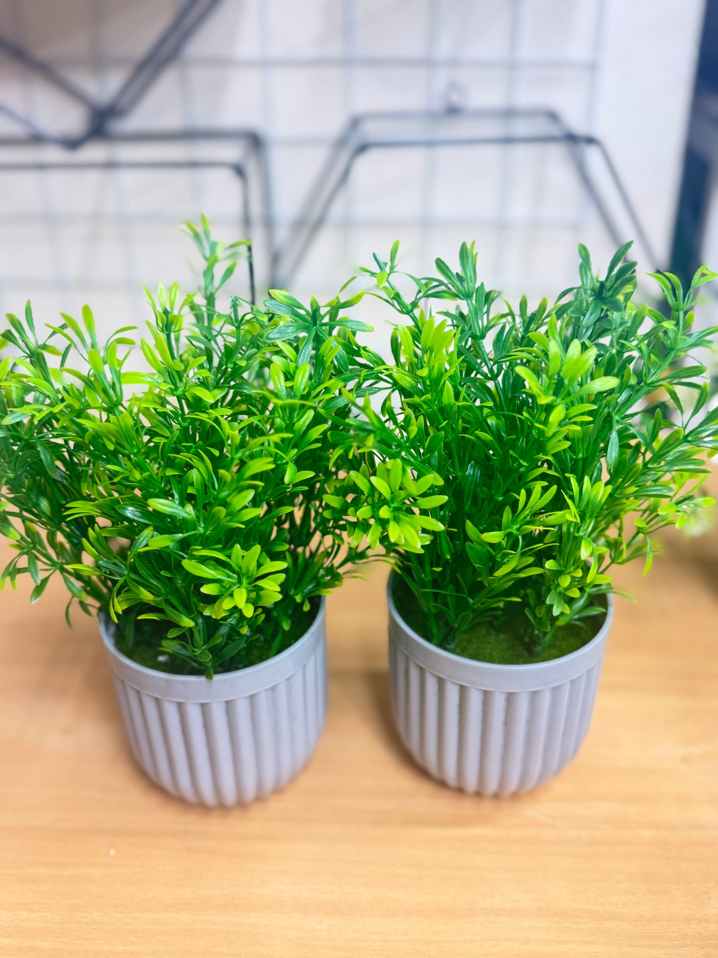 5 Artificial Plants Combo (3 Flower + 2 Green) | Best Home & Office Décor Deal – Only 1100 TK
