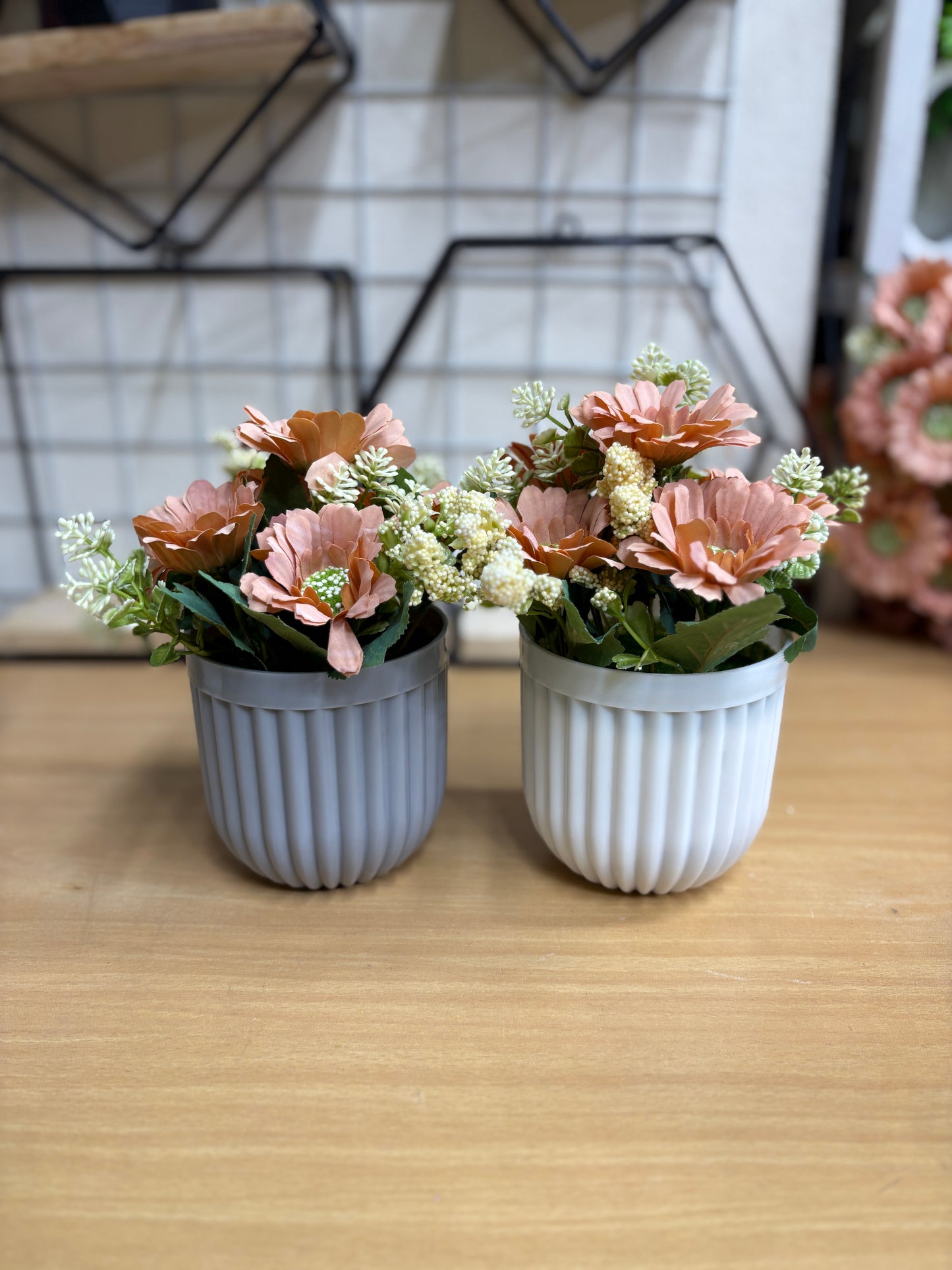 2 Green Plants Combo β 450 TK