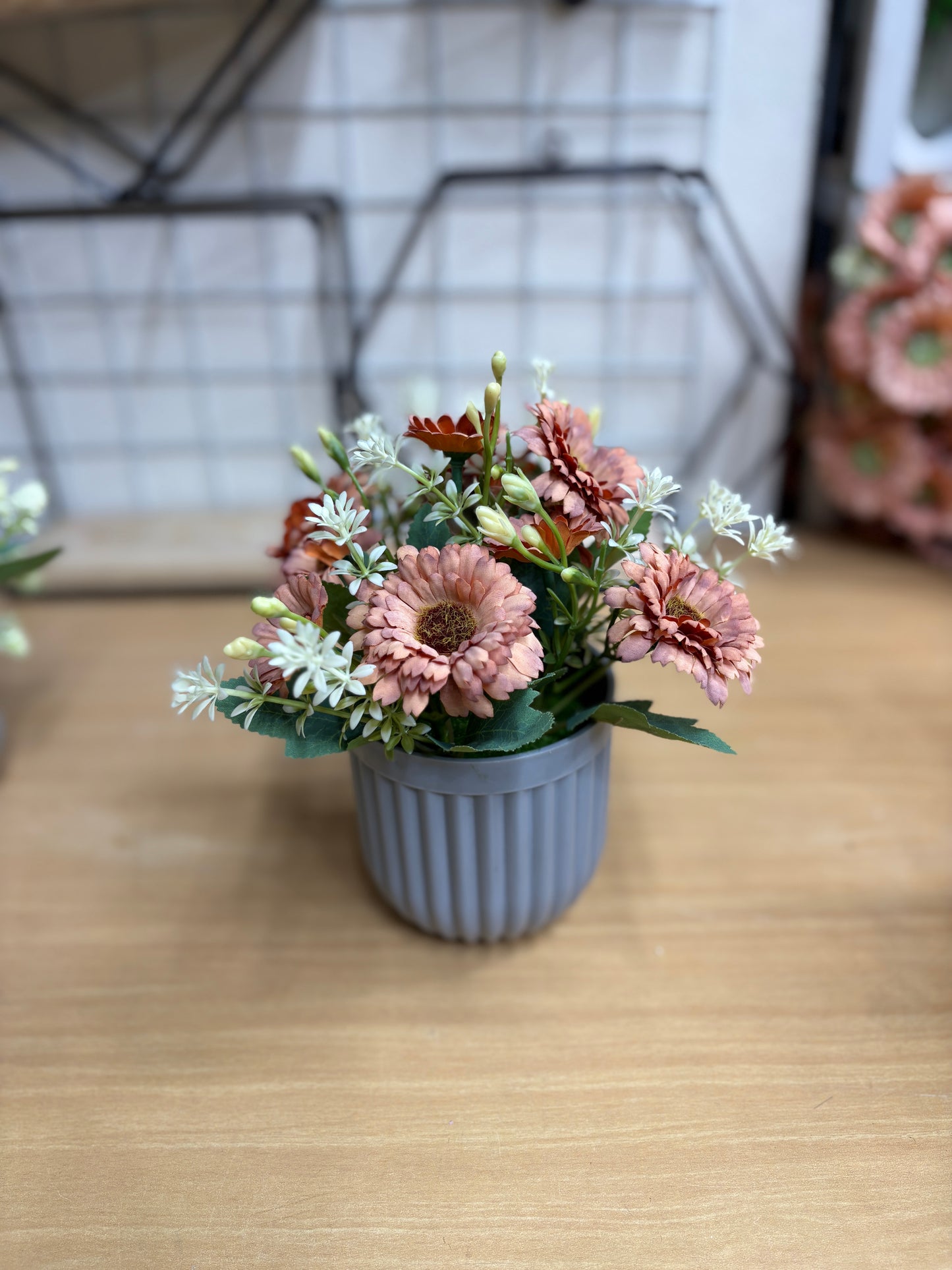 4 Plants Combo Offer β Only 950 TK