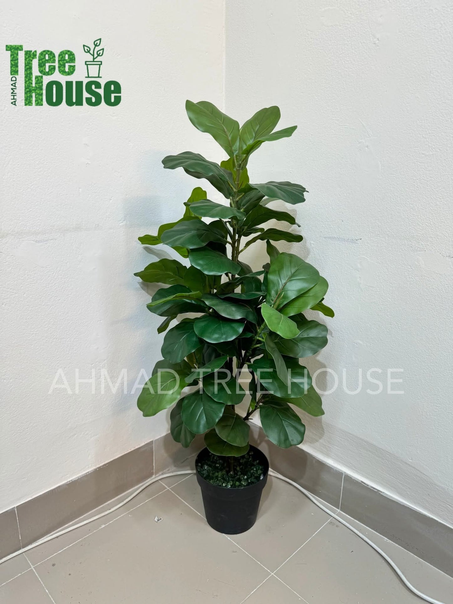 ATH Plants