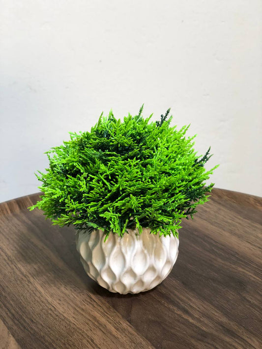 ATH – Miniature Artificial Bonsai Tree, Plastic Pot, Office Desk Greenery Decoration 209