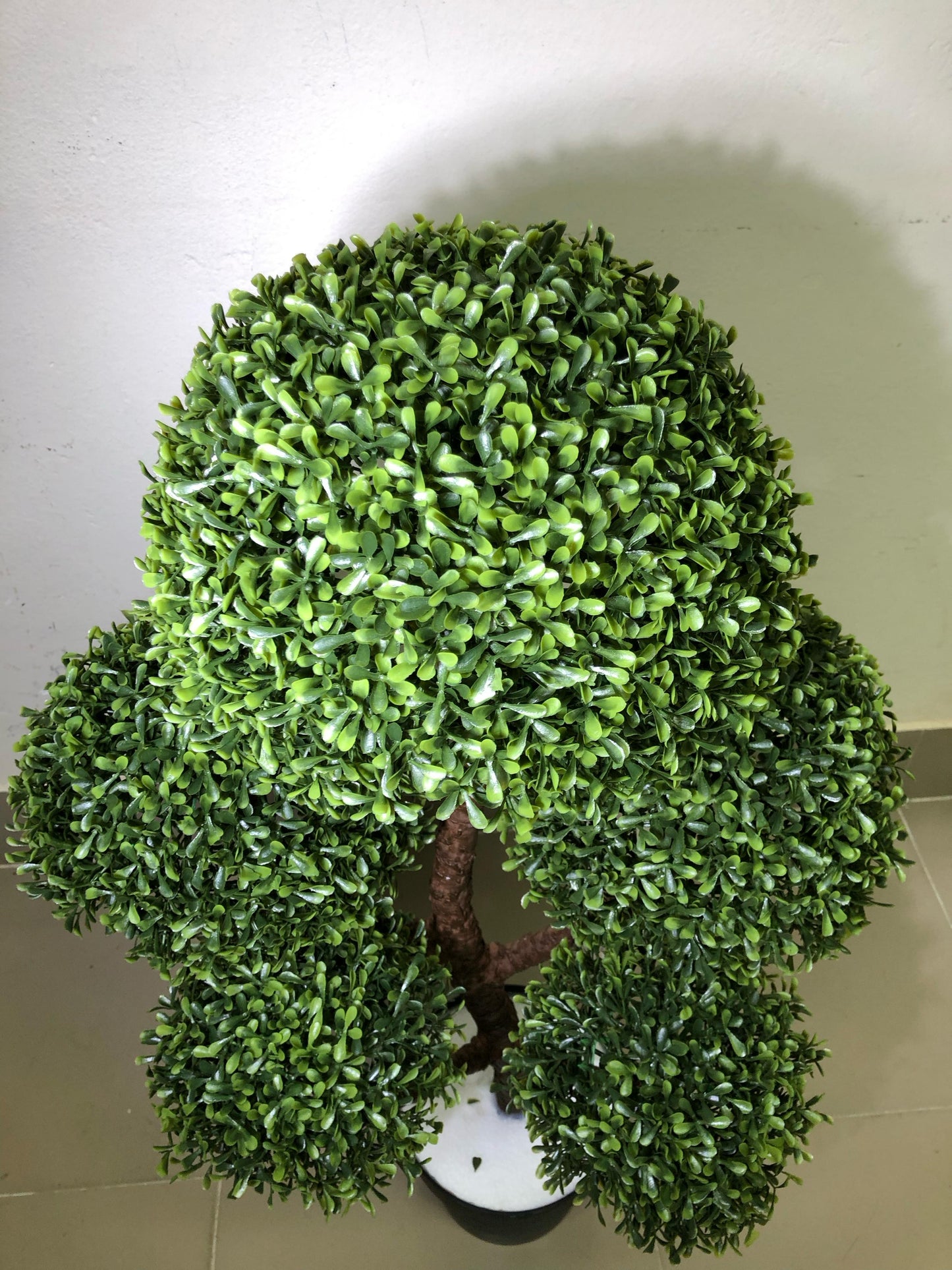 ATH-3FT-Topiary-Tree-Bonsai-006