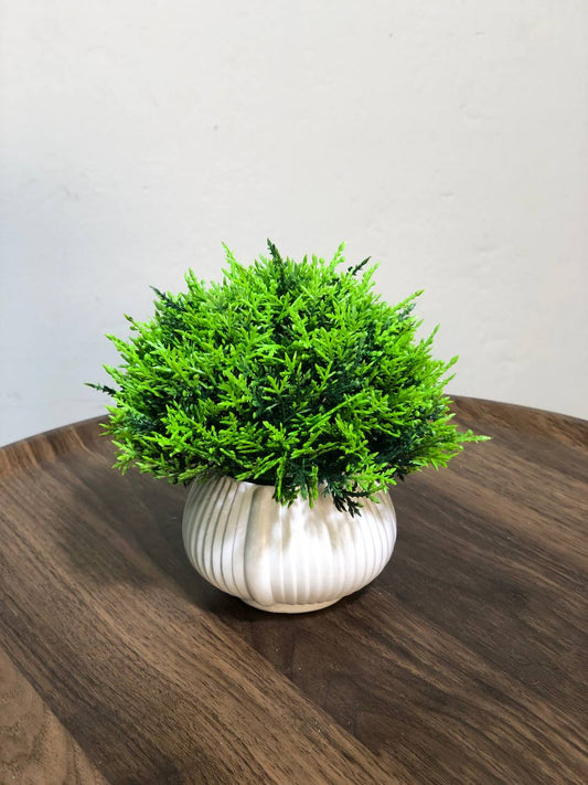 ATH – Miniature Artificial Bonsai Tree, Plastic Pot, Office Desk Greenery Decoration 207
