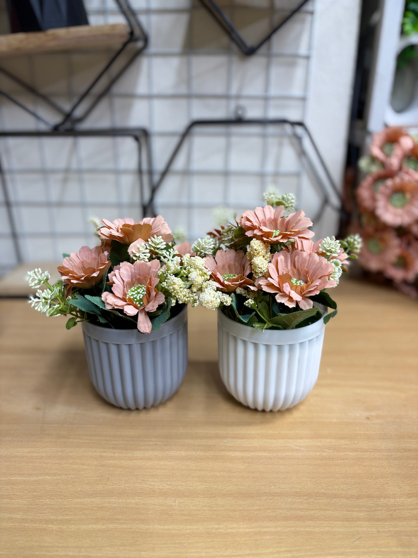 2 Green Plants Combo β 450 TK