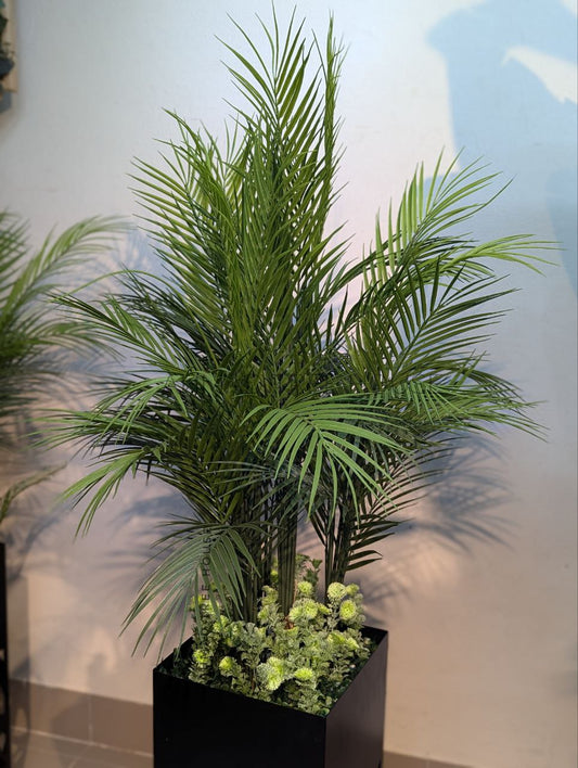 Areca Palm with Laser-Cut Metal Planter