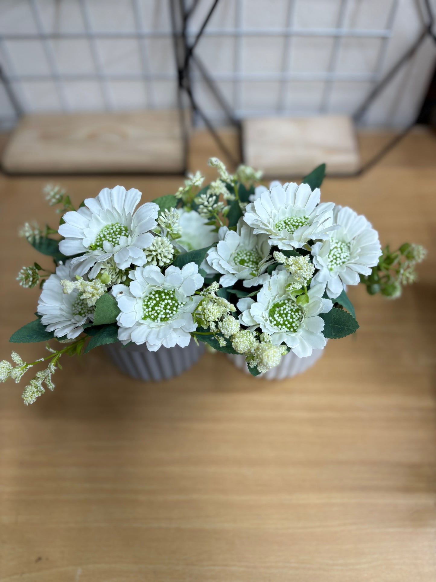 2 Green Plants Combo β 450 TK