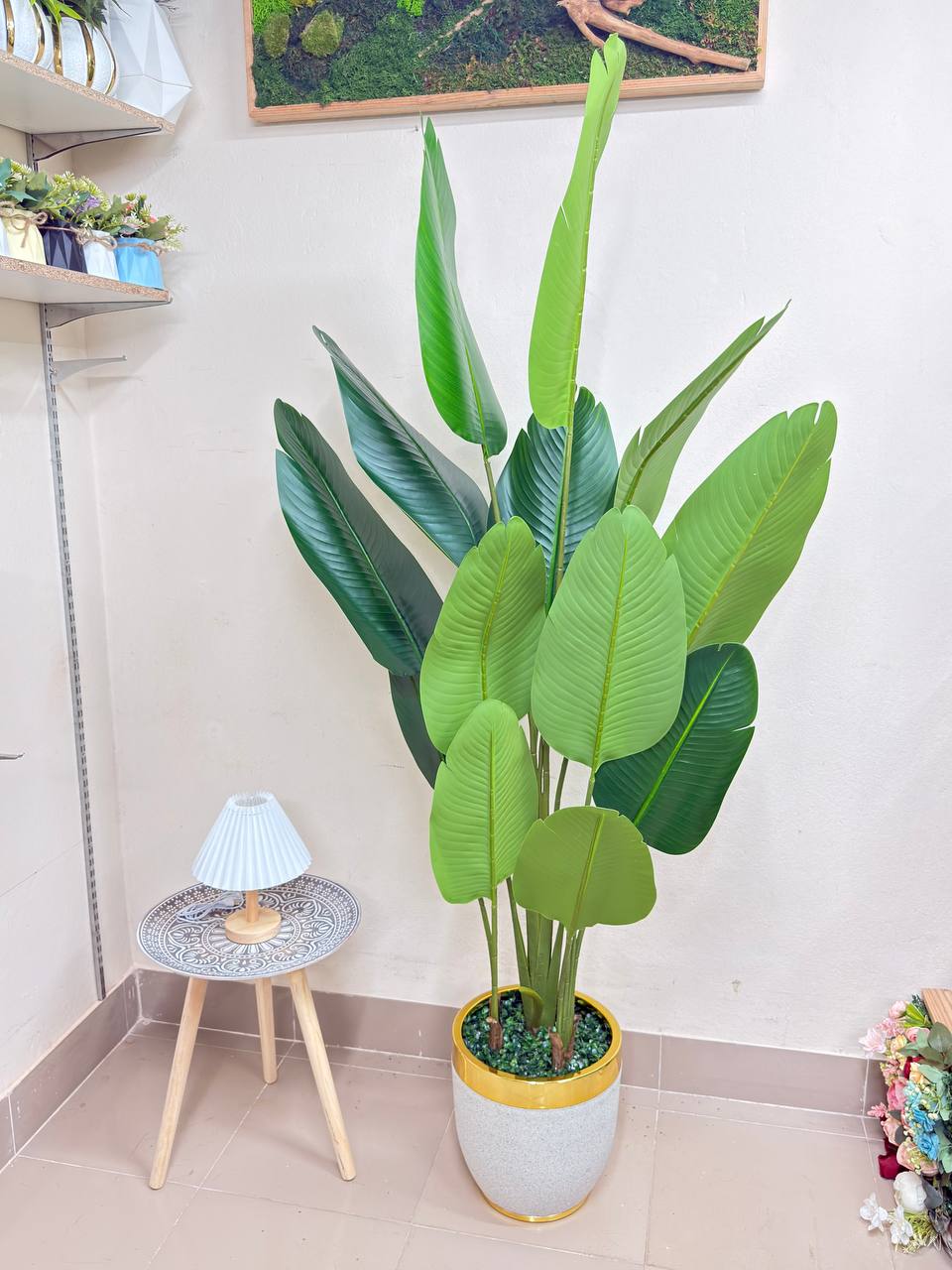 ATH-Bird's-Of-Paradise