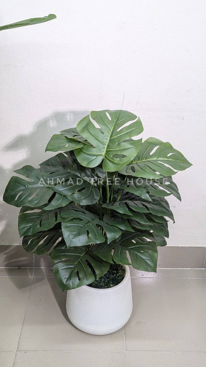 The Island Breeze: Lush Areca Palm & Minimalist Globe Planter