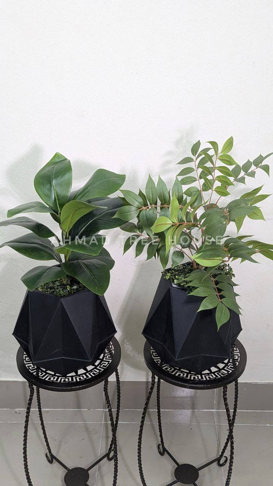 Geometric Duo Planter Set (2 Tubs + 2 Plants) at 2550 tk only