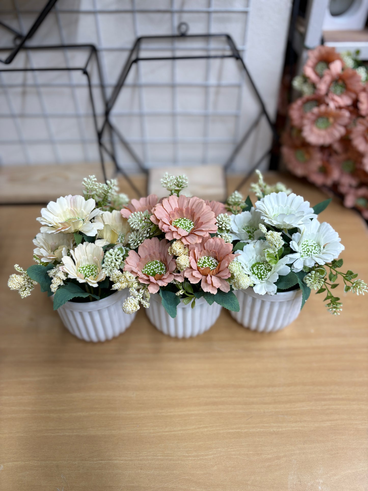 3 Flower Plants Combo β 680 TK