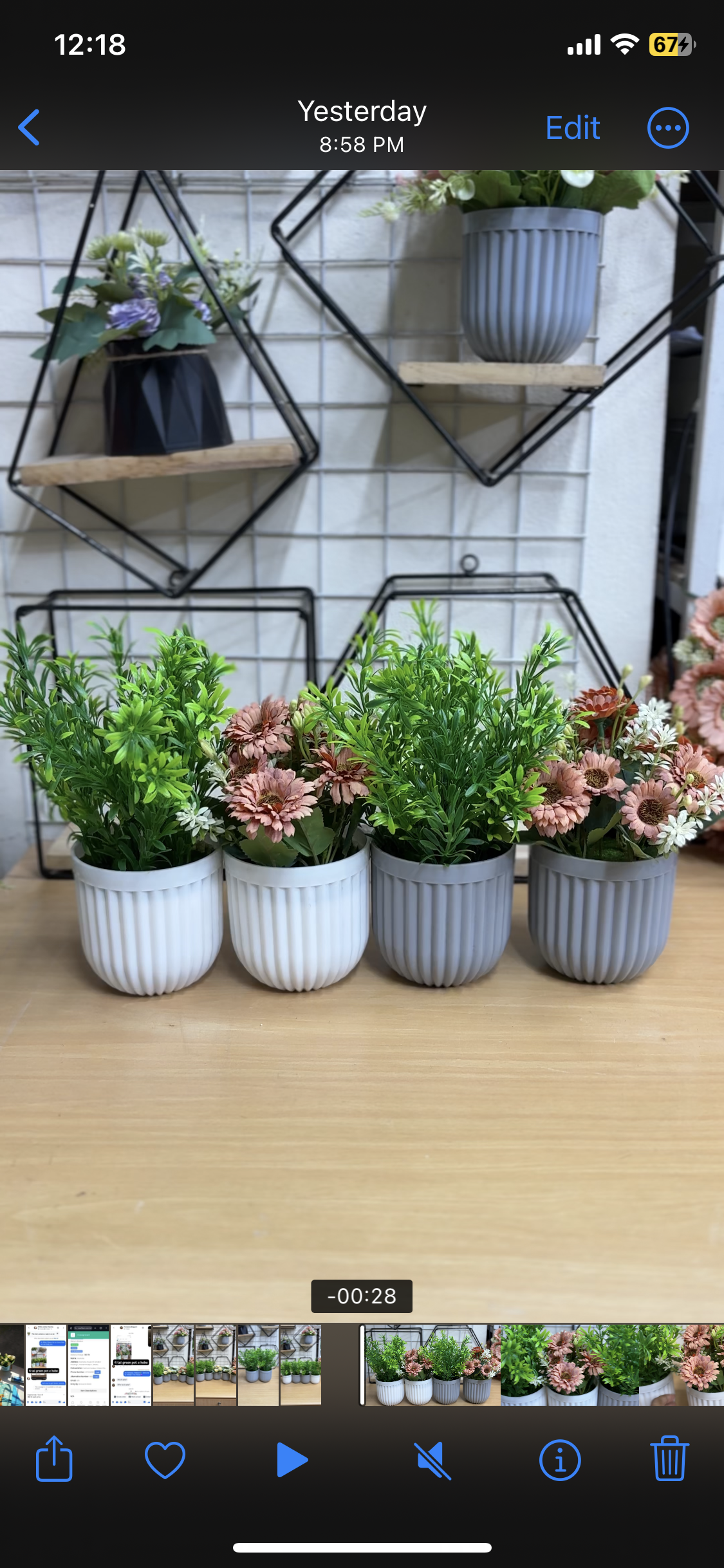 4 Plants Combo Offer β Only 950 TK