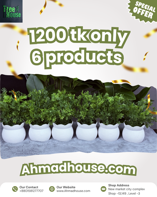 6-Piece Ultimate Bundle Deal | Only 1200 TK – Order Now or Never!