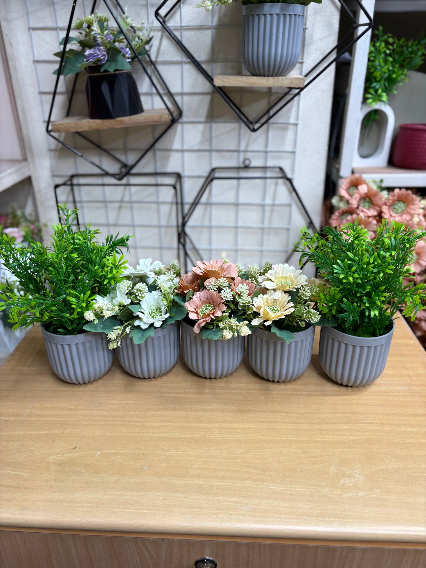 3 Flower + 2 Green Plants Combo β 1100 TK