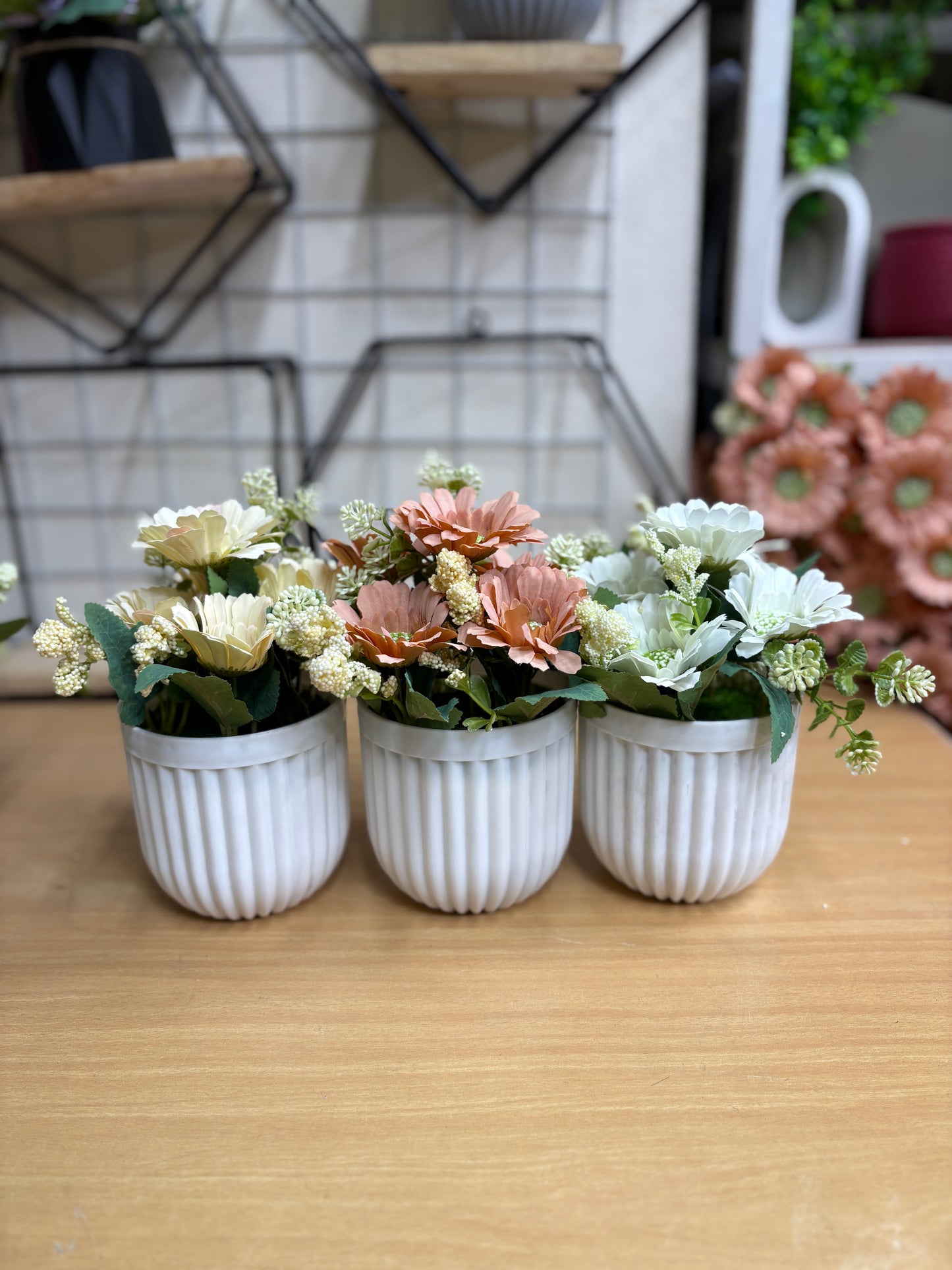 3 Flower Plants Combo β 680 TK