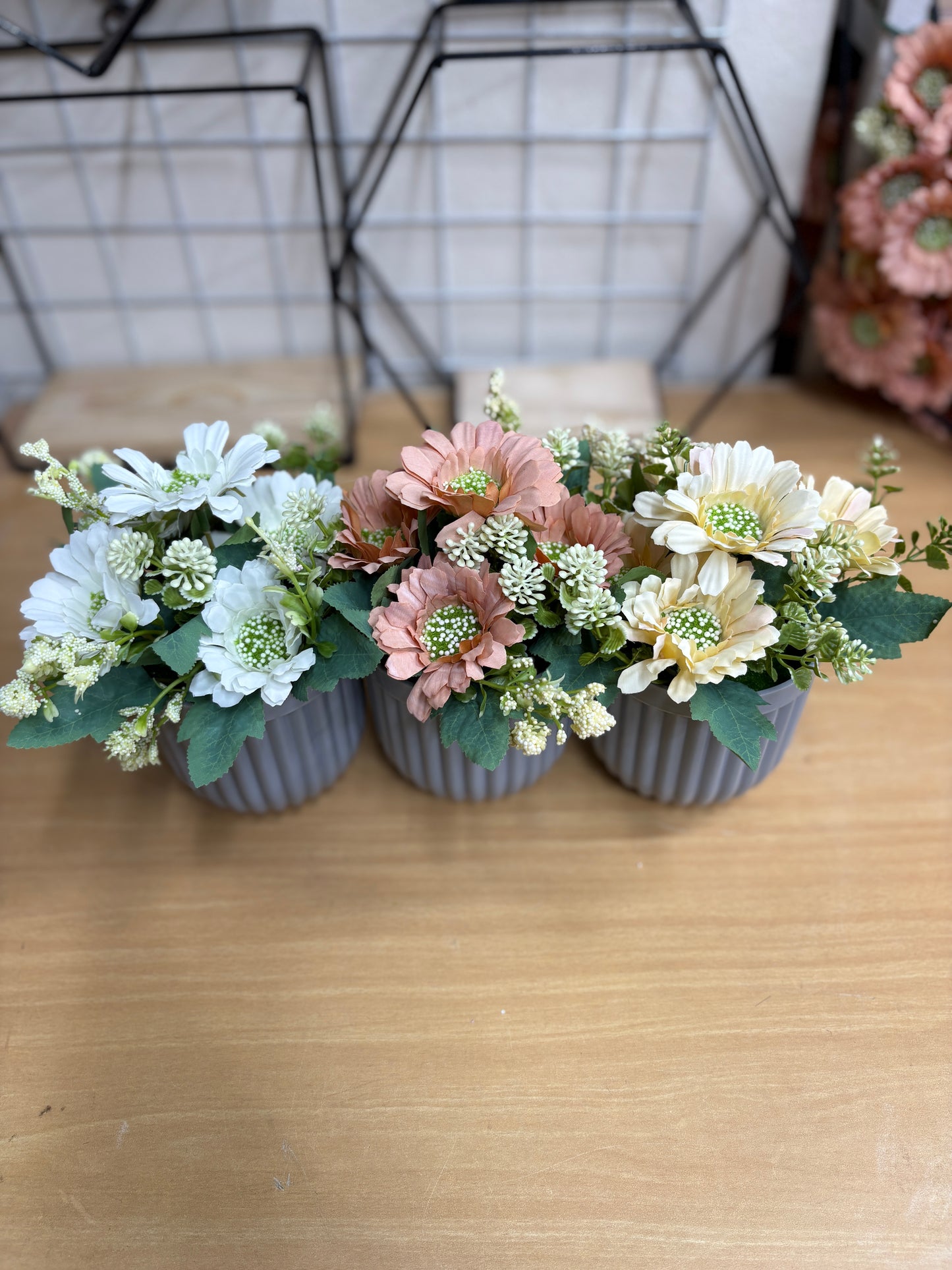 3 Flower Plants Combo β 680 TK