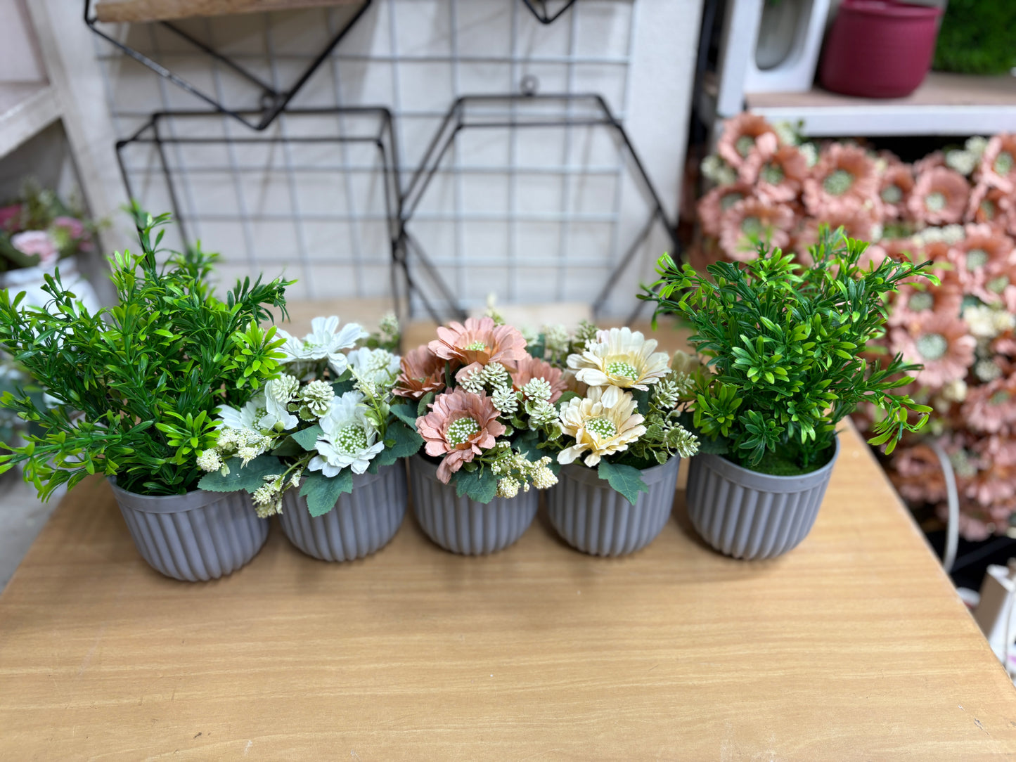 3 Flower + 2 Green Plants Combo β 1100 TK