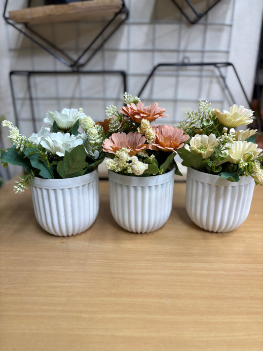 3 Flower Plants Combo – 680 TK