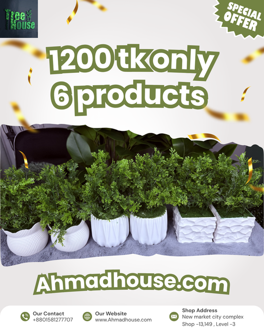 6-Piece Ultimate Bundle Deal | Only 1200 TK – Order Now or Never!