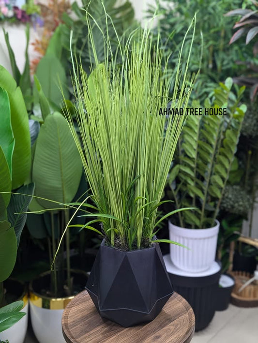 ATH - Fresh pair-ups in sleek black