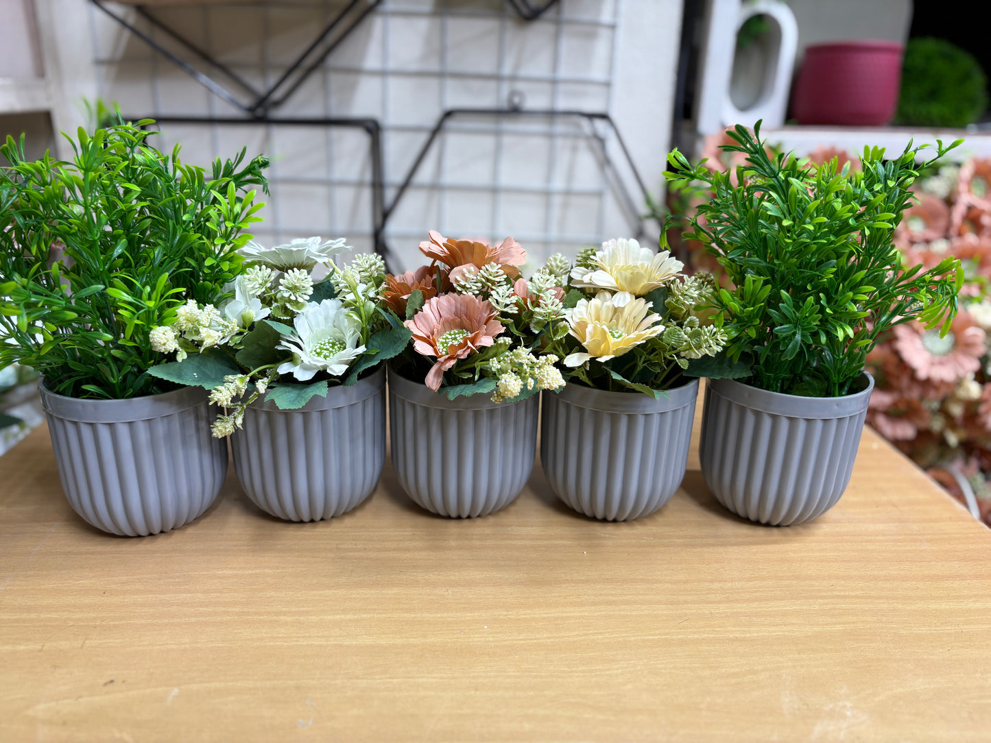3 Flower + 2 Green Plants Combo β 1100 TK