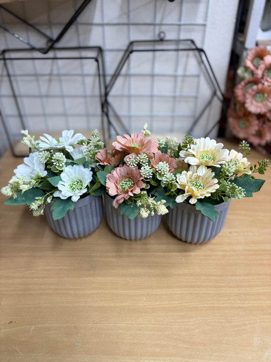 6 Flower Combo Offer – Only 1320 TK