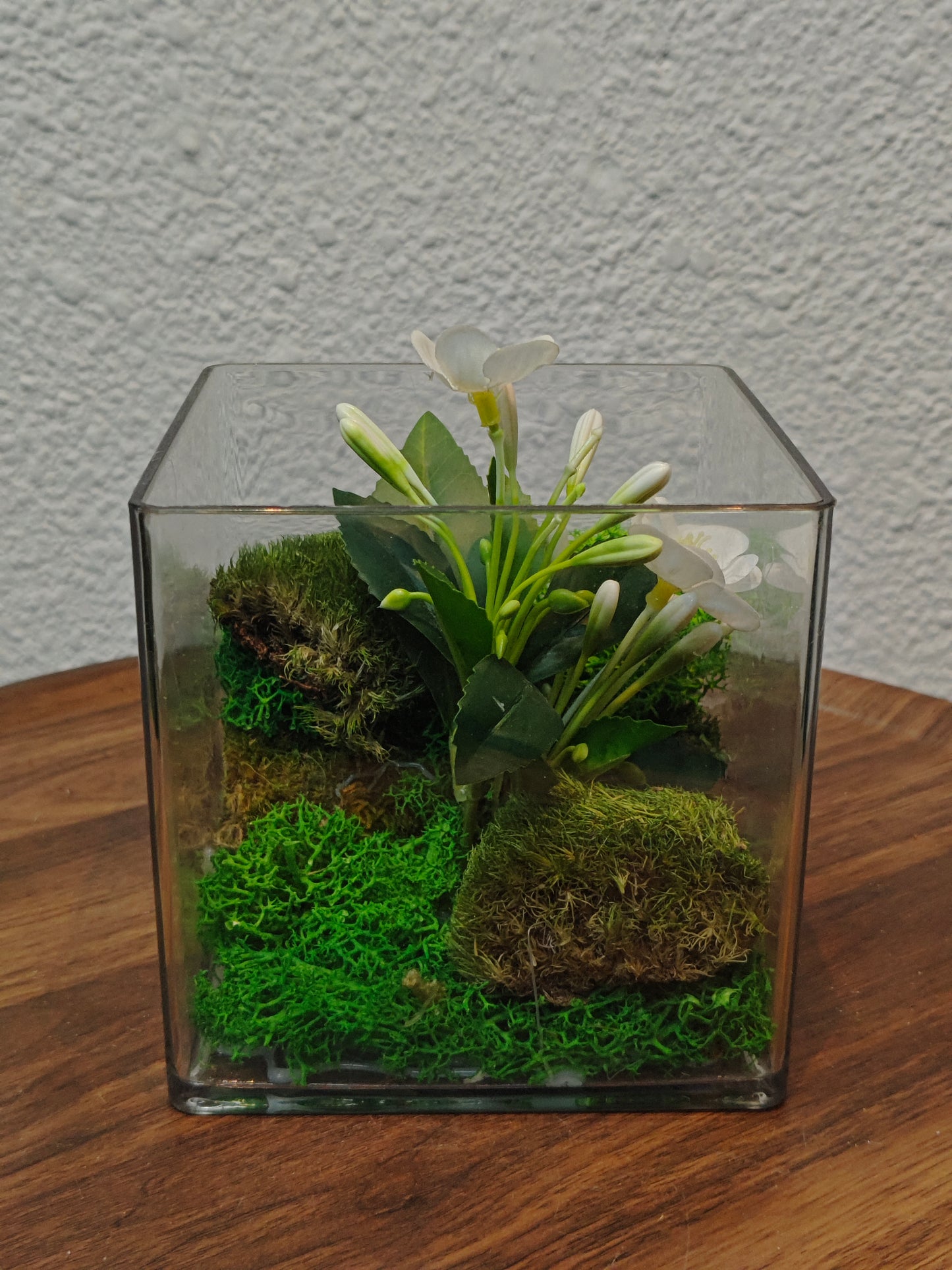 Terrarium