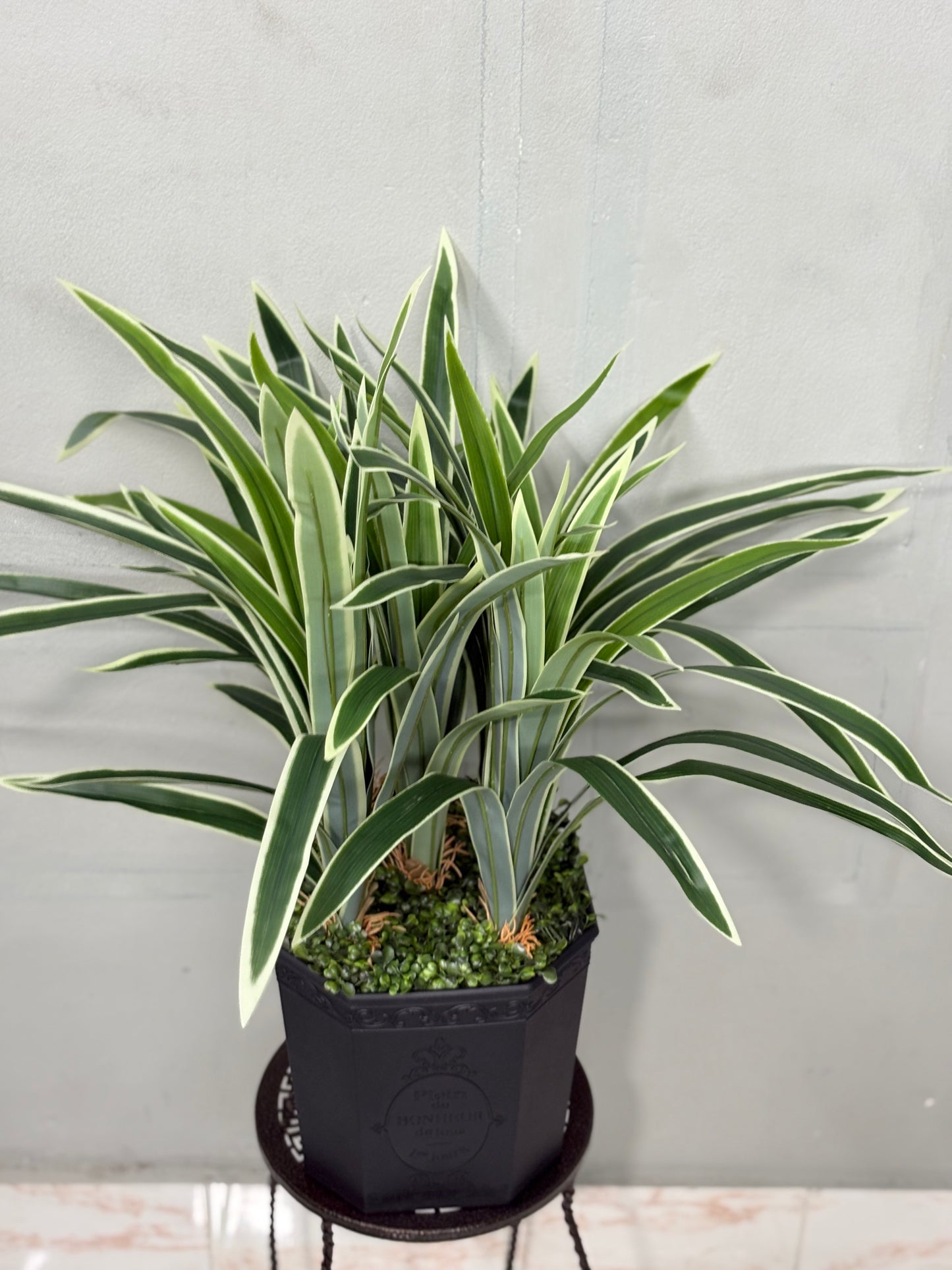 Long Spider Artificial Plant with Premium Planter – Perfect for Home & Office Decoration