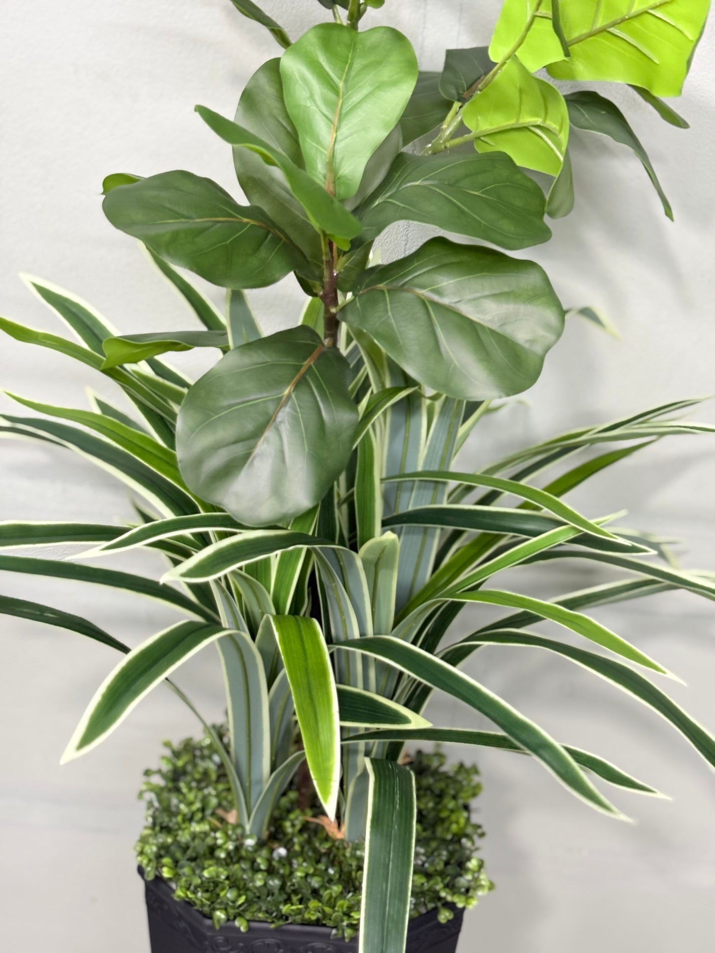 Long Spider Artificial + fiddle leaf Plant with Premium Planter – Perfect for Home & Office Decoration