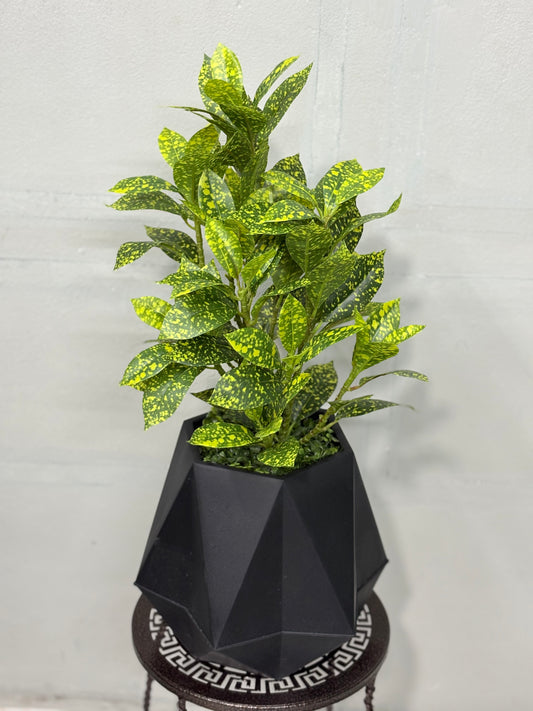 Tiny Artificial Plants for Table Decor ( Black tub )