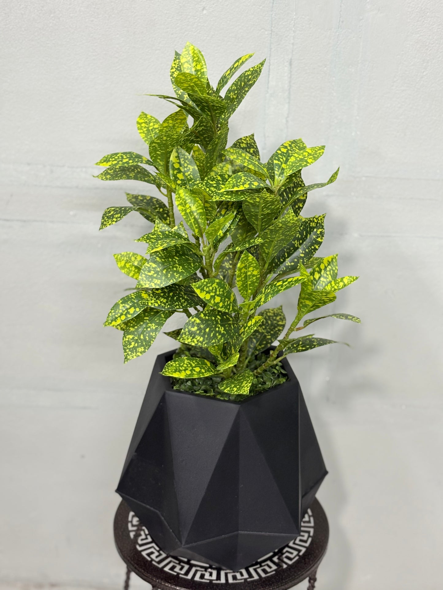 Tiny Artificial Plants for Table Decor ( Black tub )