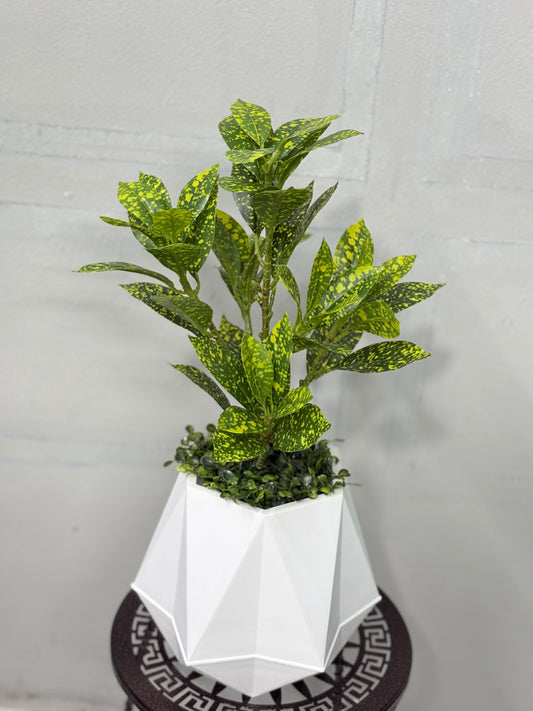 Tiny Artificial Plants for Table Decor ( white tub )