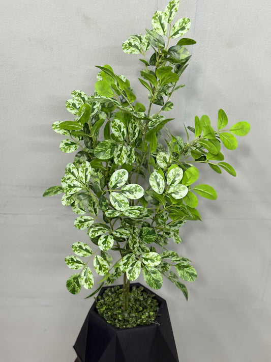 Premium Pata Barar Artificial Plant for Home & Office Decoration