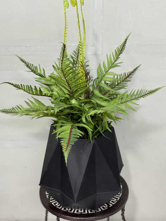 Table Fern Plant with Black Pot – Home & Office Decor