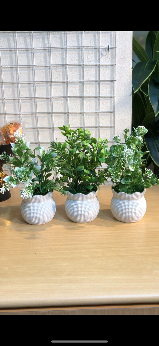 3-Piece Artificial Plant Combo (Limited Stock) – 650 TK