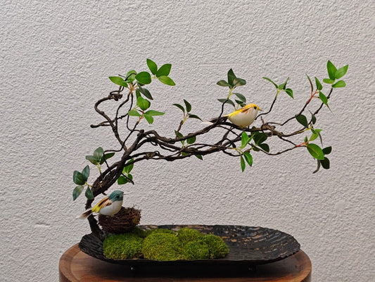 Nest Harmony (Black)