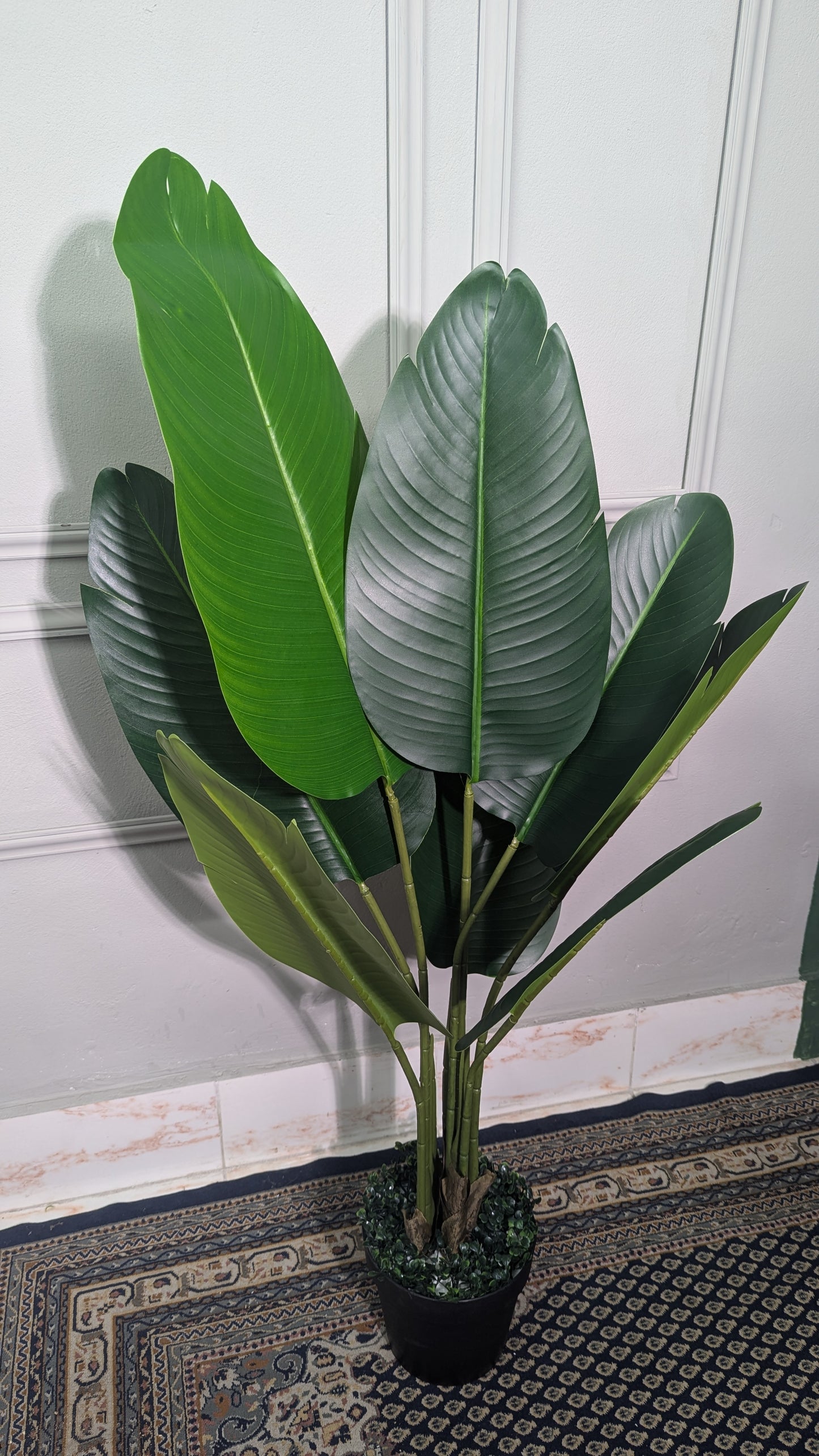 Ath 4ft birds of paradise