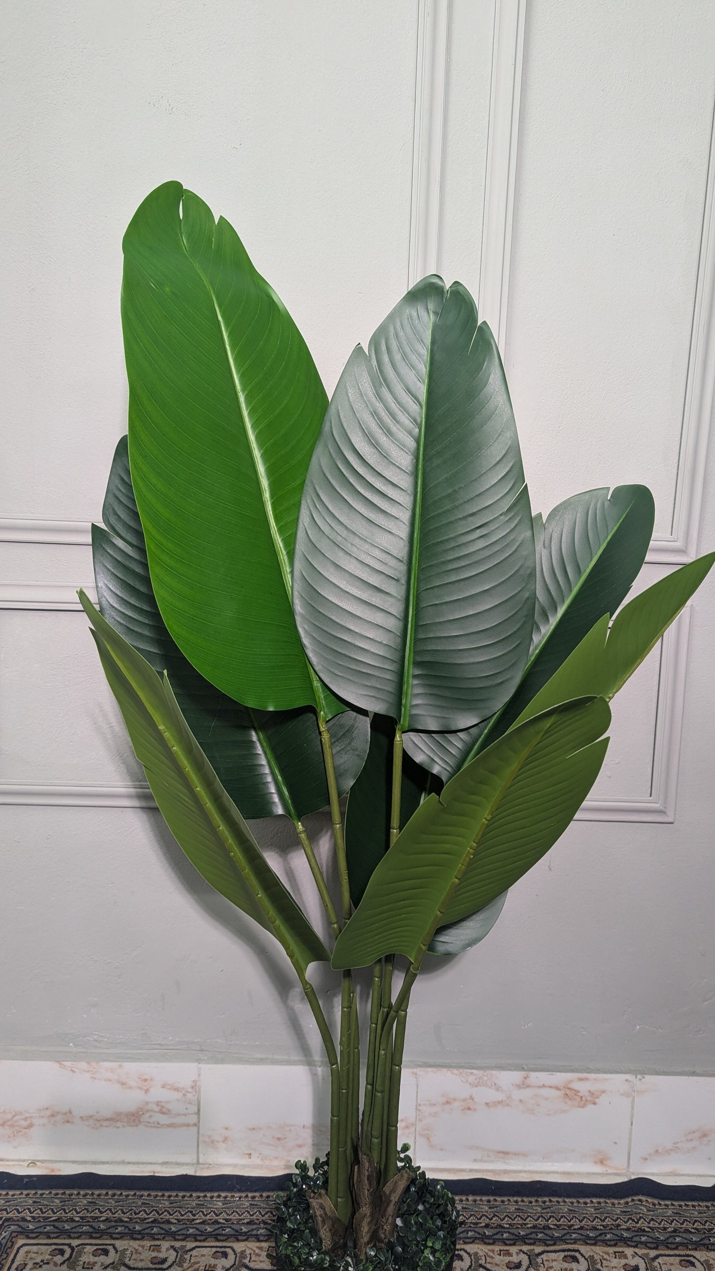 Ath 4ft birds of paradise