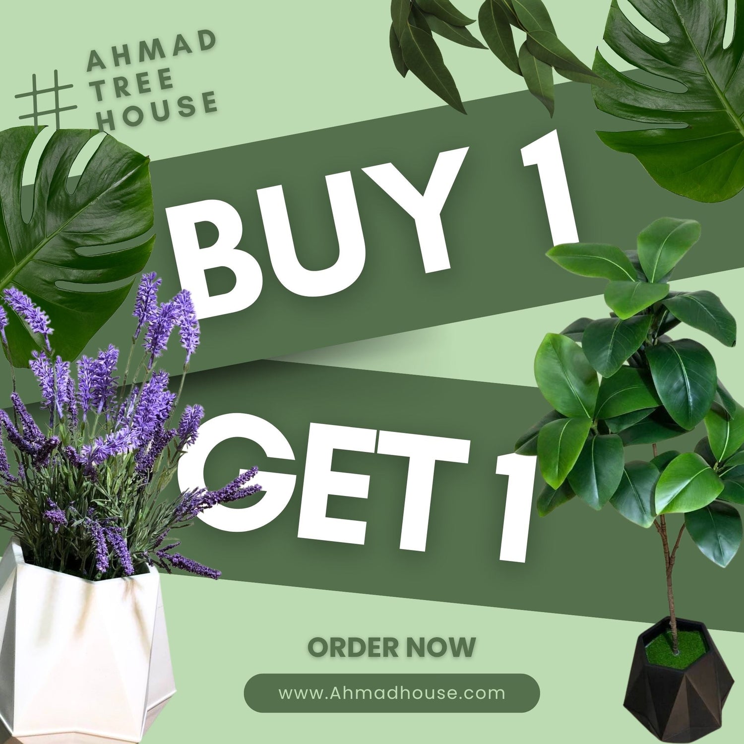 BOGO