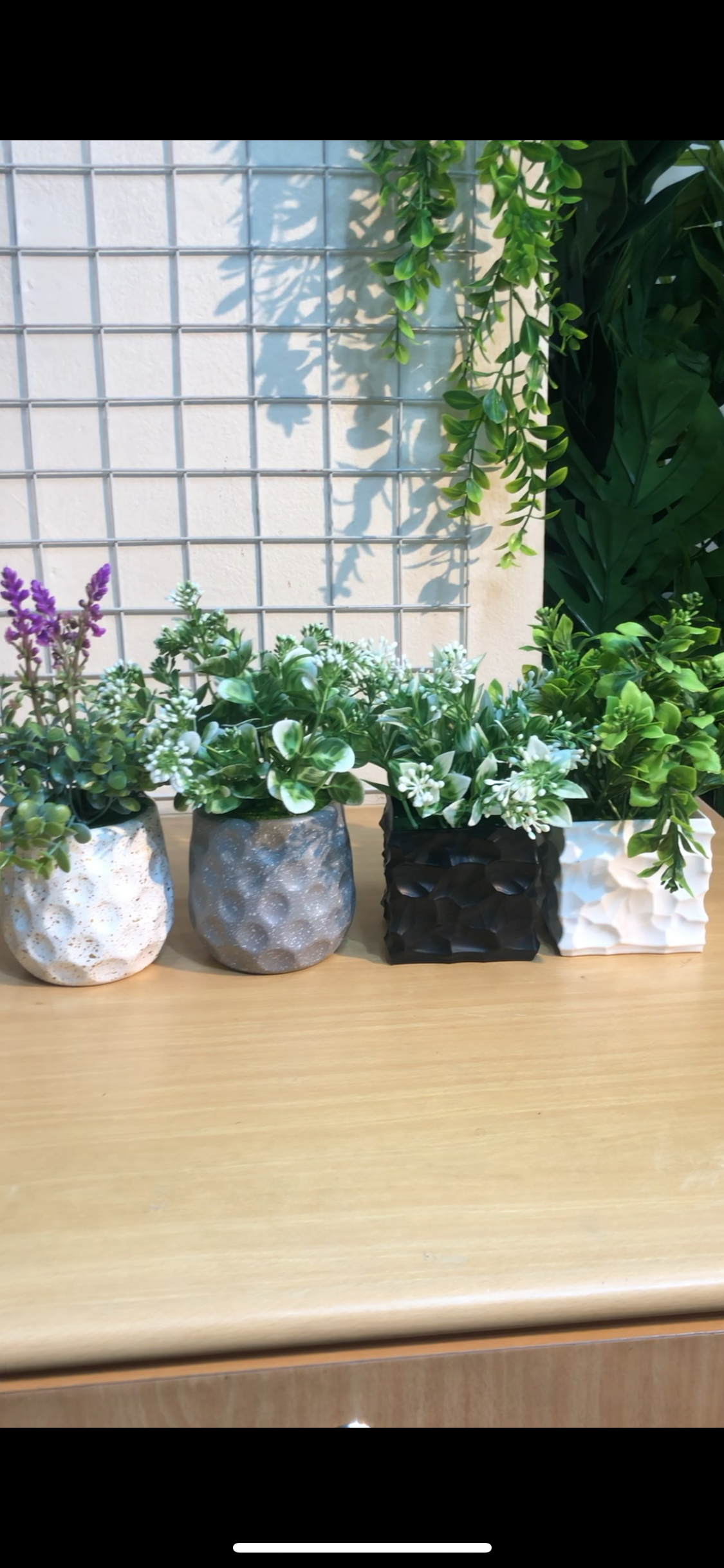🌿 4 PCS Small Artificial Plants Combo – Only 1050 TK!