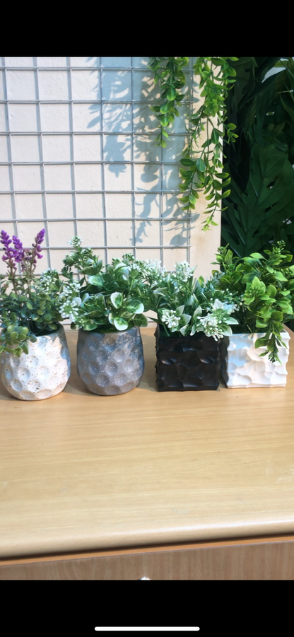 🌿 4 PCS Small Artificial Plants Combo – Only 1050 TK!