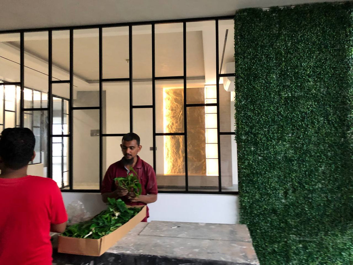 Interior Green Wall Installation