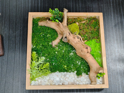 Green Mirage – 100% Artificial Moss & Driftwood Craft 12"/12"